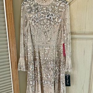 Sequin Mesh Ruffle Mock Neck Long Flounce Sleeve Dress size 14